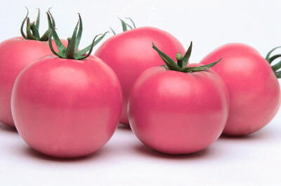 помидоры розовые россии 4.5.6